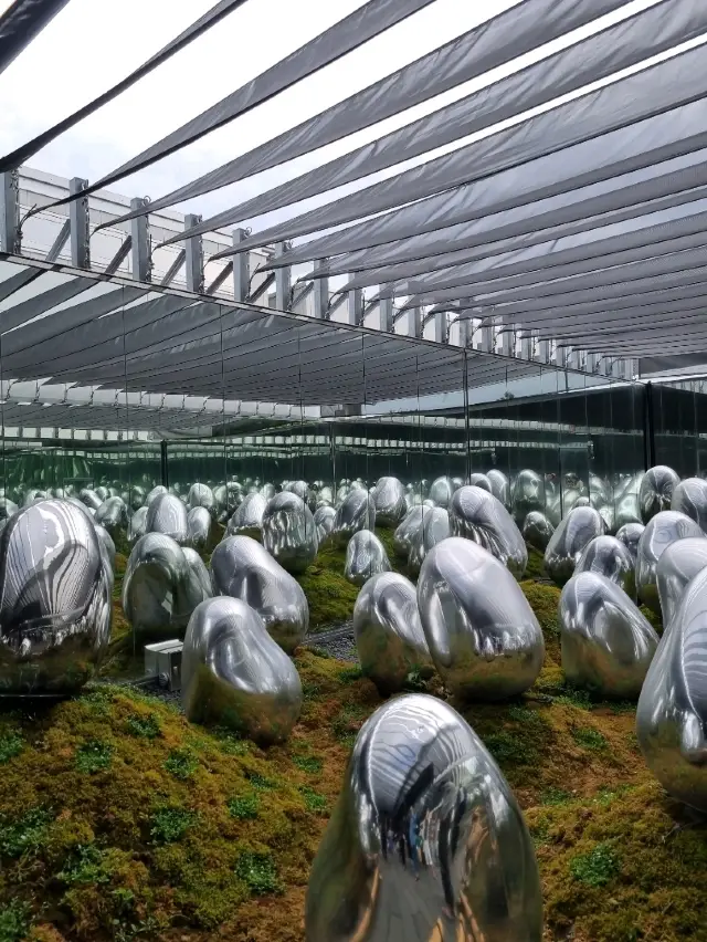 teamLab Planets Tokyo — A Museum Beyond Just Viewing