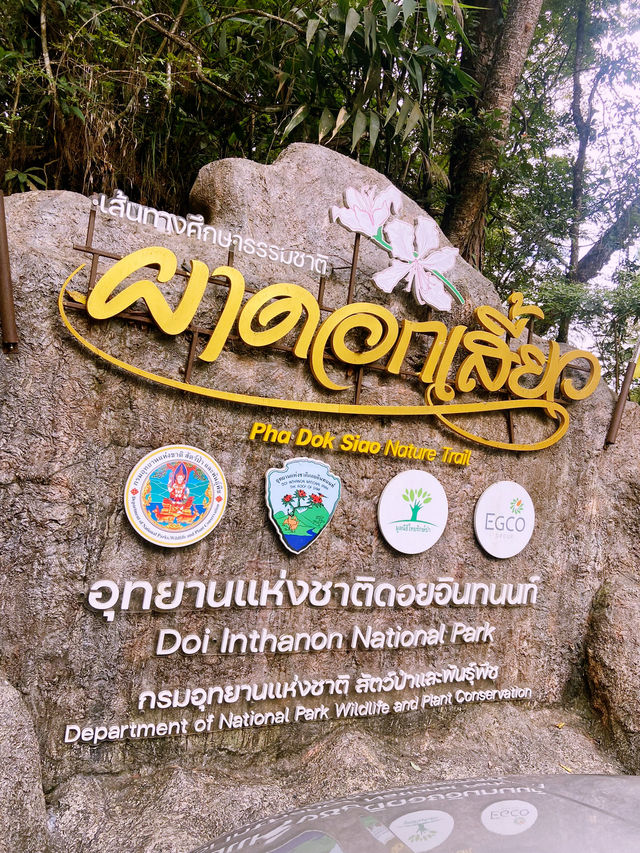 เส้นทางศึกษาธรรมชาติผาดอกเสี้ยว เส้นทางศึกษาธรรมชาติผาดอกเสี้ยว