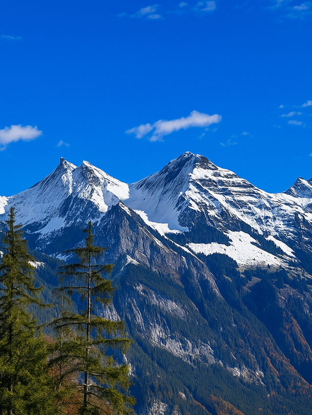 🚡 ลอยเหนือหุบเขา Jungfrau กับกระเช้าแดง Isenfluh