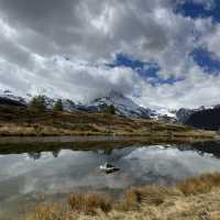 ์ค์์ค ์ฌํ์ ๊ฝ๐ธ ์๋ค๊ฐ 5๋ํธ์ ํธ๋ ํน๊ณผ ํจ๊ปํ๋ ๋งํ
ํธ๋ฅธ