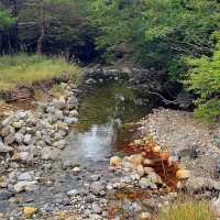 Ebino Plateau – A Scenic Volcanic High Plain in Kirishima