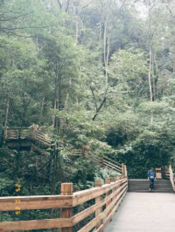 Ancient Beauty Awaits🏯