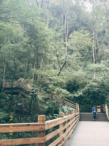 Ancient Beauty Awaits🏯