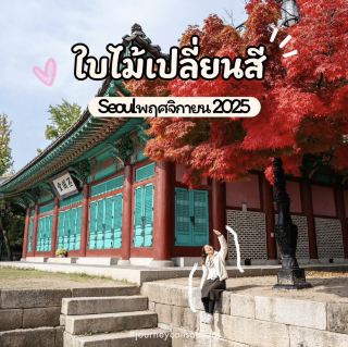 首爾的秋葉真美! 🍁🍂🩷