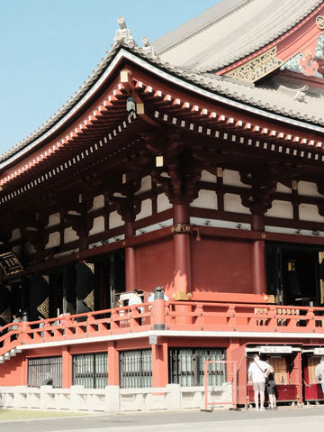 Tokyo Temple Days⛩️