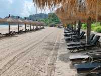 Sunbathing and Sea Waves