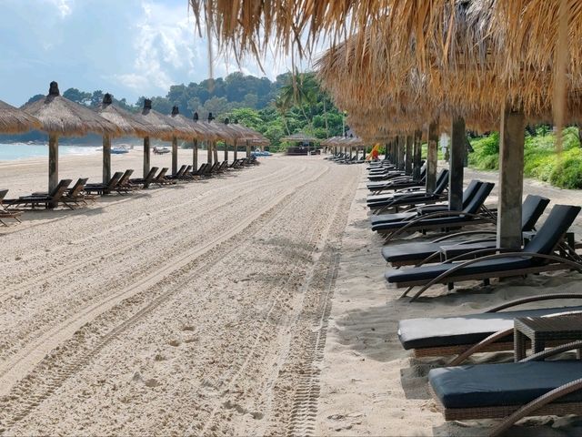 Sunbathing and Sea Waves