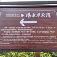  Zhangjiajie East Gate — A One-Day Journey Through Peaks, Clouds & Surprises