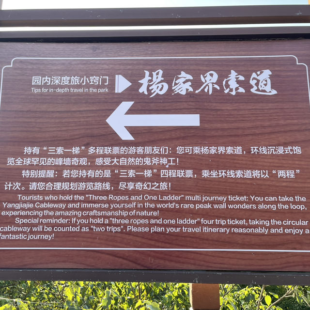  Zhangjiajie East Gate — A One-Day Journey Through Peaks, Clouds & Surprises