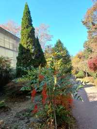 자연의 아름다움을 깊게 느낄 수 있는 곳