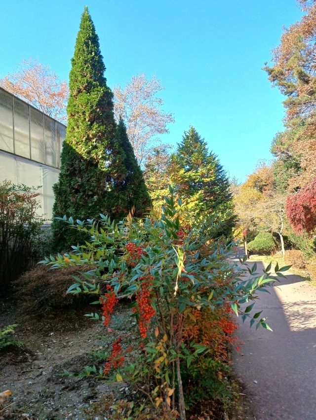 자연의 아름다움을 깊게 느낄 수 있는 곳 자연의 아름다움을 깊게 느낄 수 있는 곳