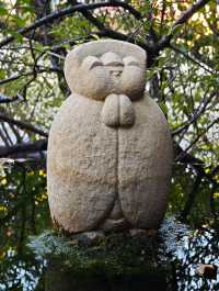 城市中的禪意淨土#🌿 菩薩寺-臺中市大里區