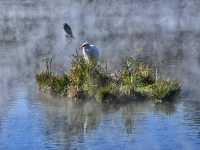 ๐้้ฑๆนใปๆนฏๅธ้ข โโ ๅฑฑๅ่ฃก็้็พๆๅ
