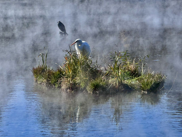 ๐้้ฑๆนใปๆนฏๅธ้ข โโ ๅฑฑๅ่ฃก็้็พๆๅ
๐้้ฑๆนใปๆนฏๅธ้ข โโ ๅฑฑๅ่ฃก็้็พๆๅ
