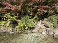 暢遊福岡及鹿兒島