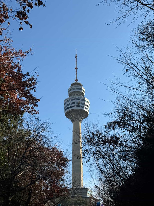 Park Magic Unveiled🌙 Park Magic Unveiled🌙