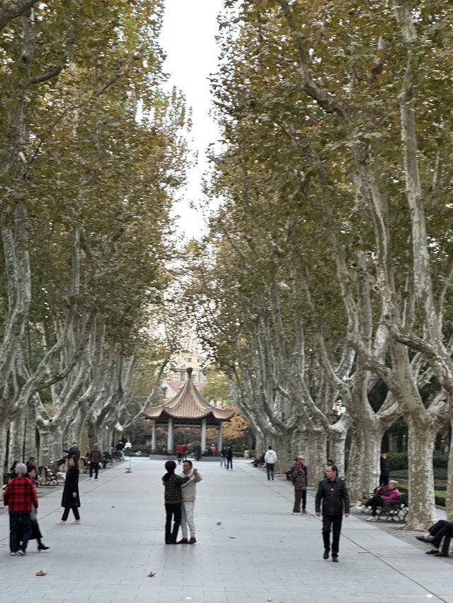 Shanghai 5-Day for the end of 2025 🇨🇳🎄 Shanghai 5-Day for the end of 2025 🇨🇳🎄