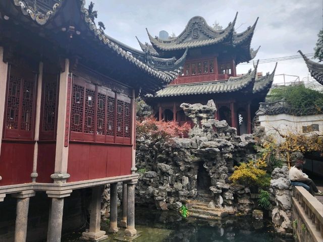 Garden Serenity🧭 Garden Serenity🧭