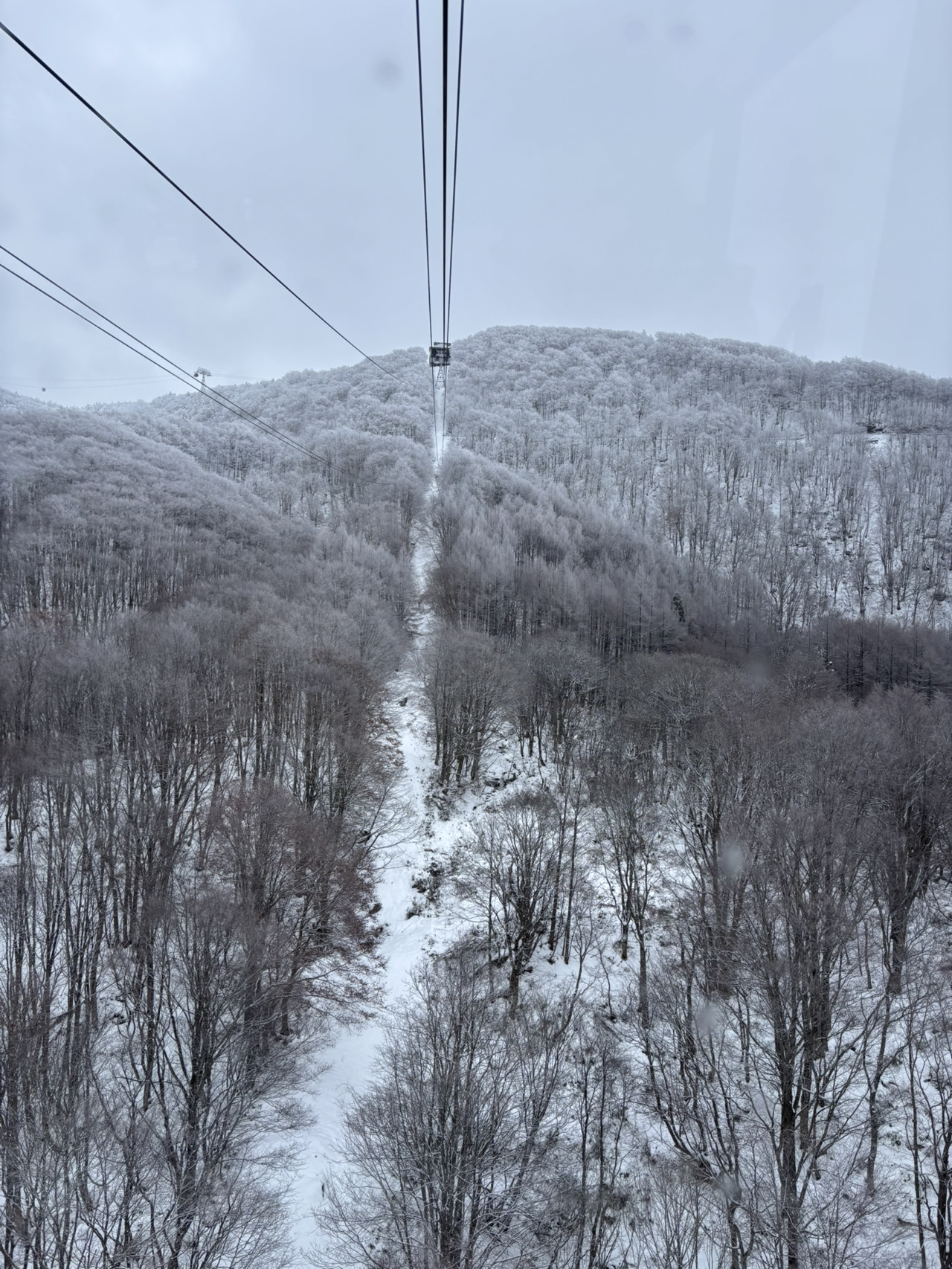 We Came for the Snow Monsters — Zao Completely Blew Our Minds