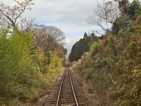 雲海、草原與火山脈動——阿蘇山群之美 🌋🌾