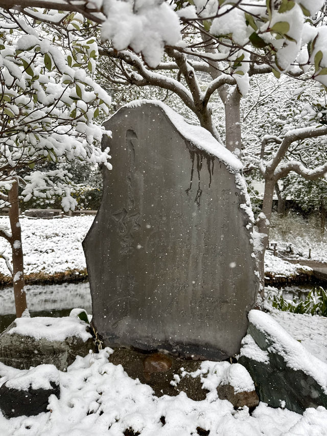 ❄️ A Silent Snowy Morning in Edo’s Garden