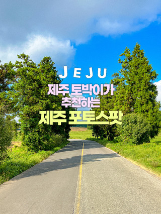 제주 토박이가 추천하는 제주 포토스팟 📷