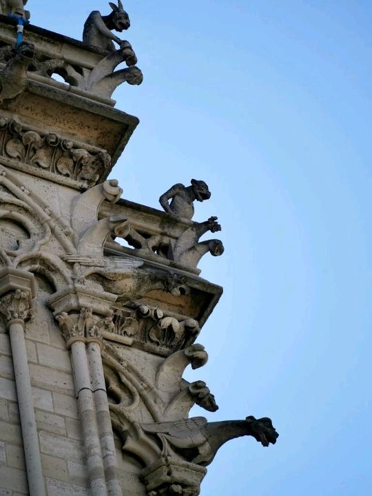 ⛪ ノートルダム・ド・パリ |石のシンフォニー | Trip.com パリ ⛪ ノートルダム・ド・パリ |石のシンフォニー | Trip.com パリ