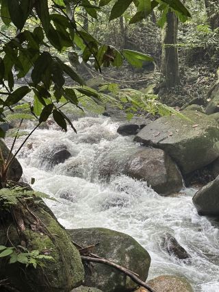 น้ำตก Sungai Tua | จุดหลบความวุ่นวาย เติมความสดชื่น ห่างจากกัวลาลัมเปอร์แค่ 30 นาที