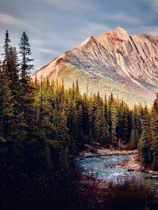 Argentina Salta Baritú National Park Mossy Cloud Forest Ridgeeasytravelpost #Baritu #YungasRidge #S