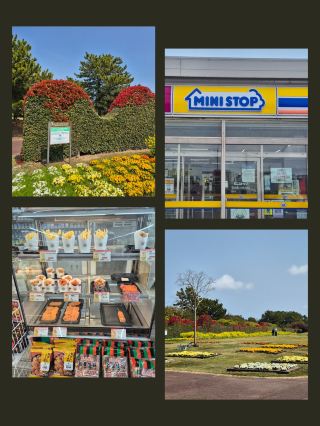 🌿 A Slow Day in Shizuoka, From Mini Stop to Yoshida Park 🌿