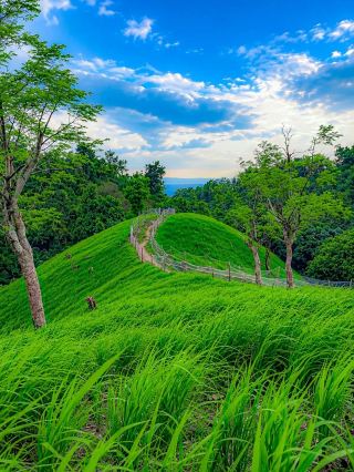 Nature Therapy in Sylhet, Bangladesh 🌿✨