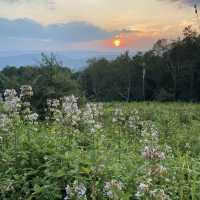Shenandoah National Park Swift Run Sunset