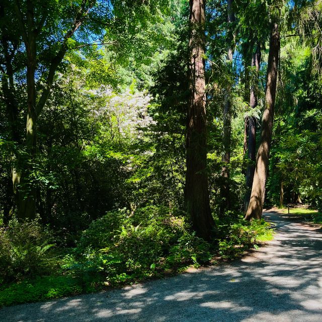 Washington Park Arboretum