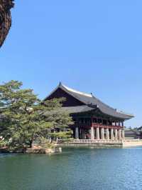 Visited Gyeongbokgung Palace 🛕 🇰🇷
