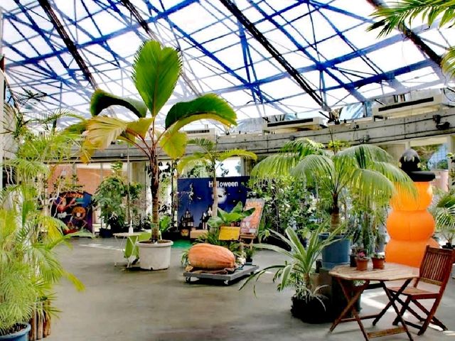 夢之島熱帶植物館