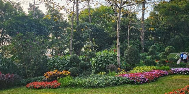 spring comes early🥰 Yuexiu Park Guangzhou