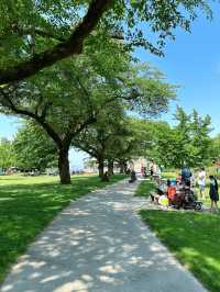 Vancouver한인타운 근처에 한번쯤 꼭 가볼만한 Burnaby Mountain Park👍🏻
