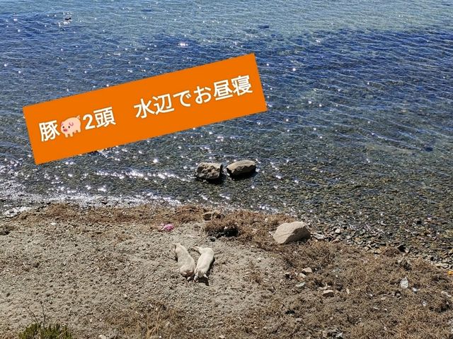 足を伸ばして太陽の島 (Isle del Sol ) 絶景を見に