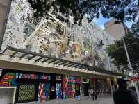 Brisbane: surfer paradise 