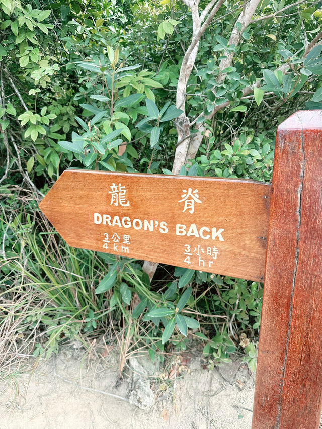 🥾 香港龍脊行山路線｜景靚易行嘅經典郊遊之選！🌿
