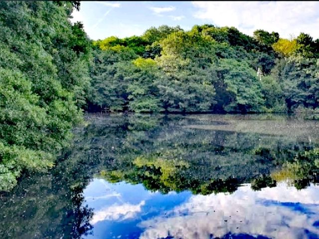 Hill Hook Nature Reserve