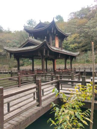 Natural Oxygen Bar: The Perfect Choice for Relaxation