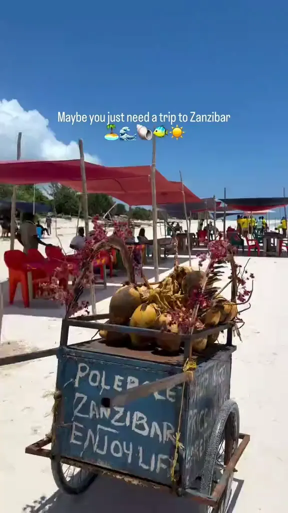 Zanzibar travel company 
EXCURSION IN ZANZIBAR 
📌Mnemba Island 
📌Salaam Cave
 📌Jozani forest 
📌spice farm 
📌Mtende beach 
📌safaris Blue 
📌prison island 
📌Nakupenda sandbank 
📌Stone Town 
📌nugwi aquarium and sunset cruise 
📌pungume island 
📌kwale island 
📌villages tour and class cooking 
📌Quads and villages tour 
📌Games fishing 
 📌safaris Tanzania wild animal🇹🇿 📌