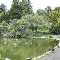 英國 Bath 巴斯 Royal Victoria Park