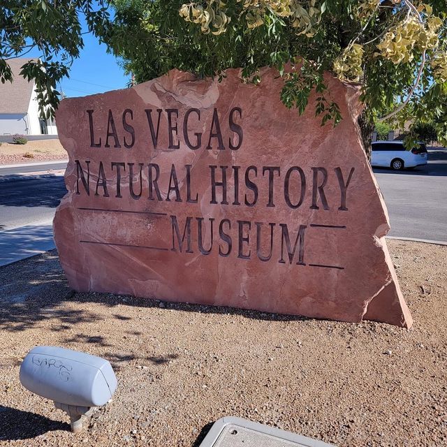 Las Vegas Natural History Museum 🇺🇸