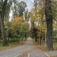 Central Park Simion Bărnuțiu in autumn 🇷🇴