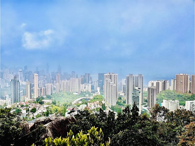 市區簡易郊遊 - 黃泥涌峽徑