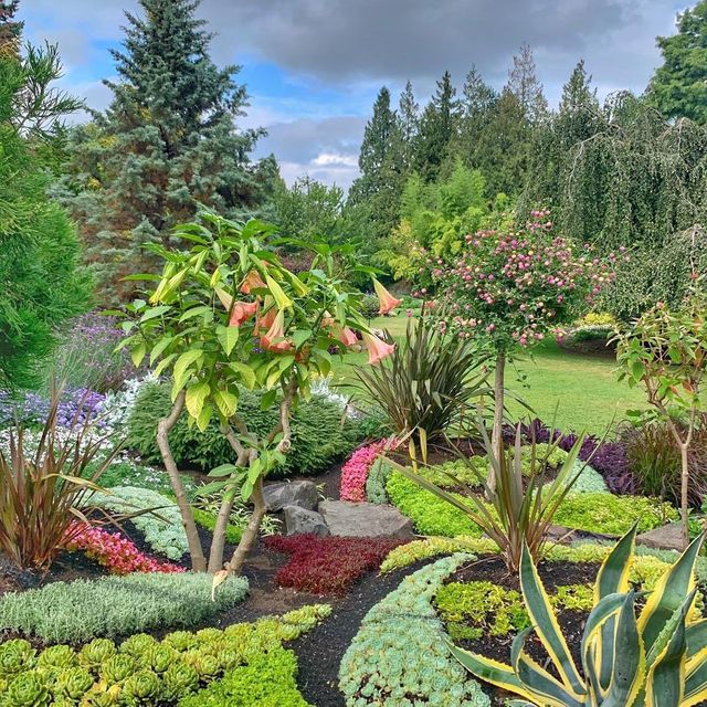 Queen Elizabeth Park Vancouver 🌴🇨🇦