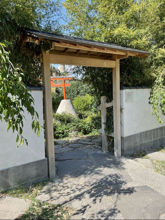 【ジョージア🇬🇪/自然豊かな巨大な植物園 】