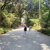 Meiji jinju shrine in Japan 🇯🇵 